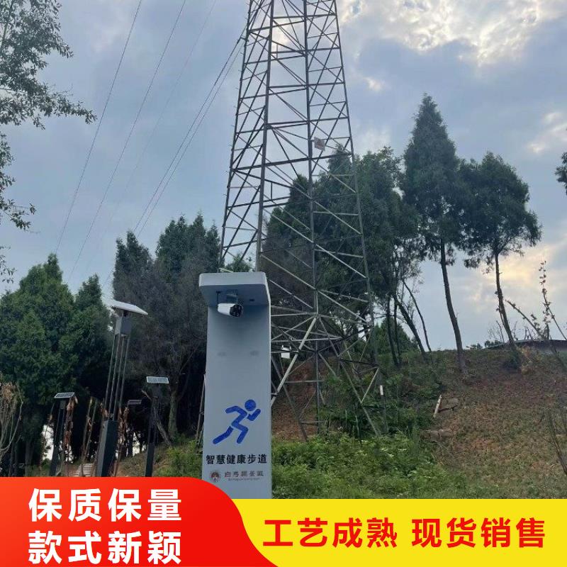 智慧步道系统造价（维艾狄尔）库存量大