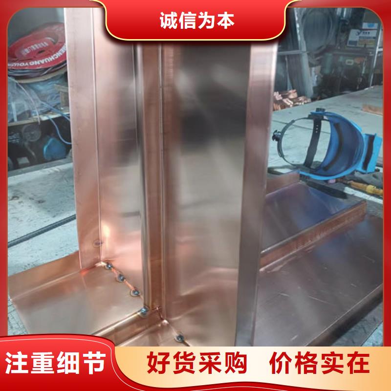 W型止水铜片信息实拍展现