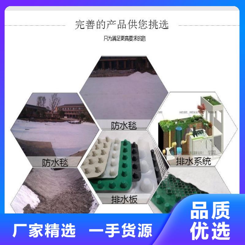滤水板-施工指导实力厂家