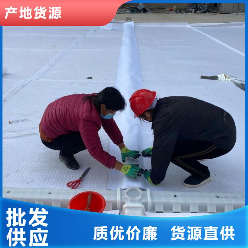 排水板-免费寄样自营品质有保障