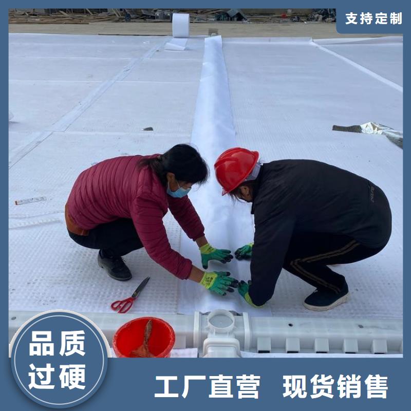 排蓄水板-价格更低多行业适用