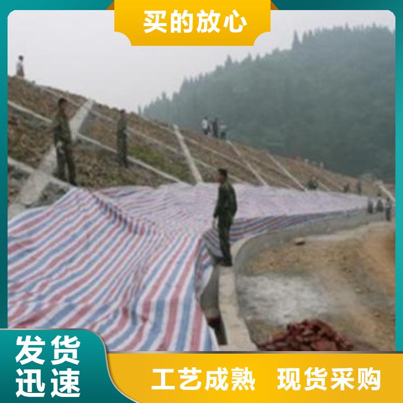 140g双覆膜彩条布优质货源品质服务