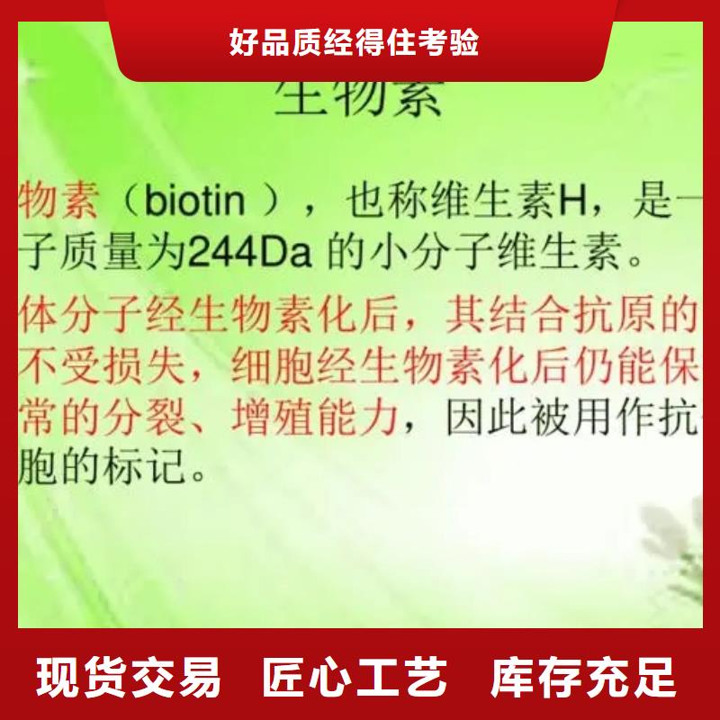 维生素H厂家定制定做