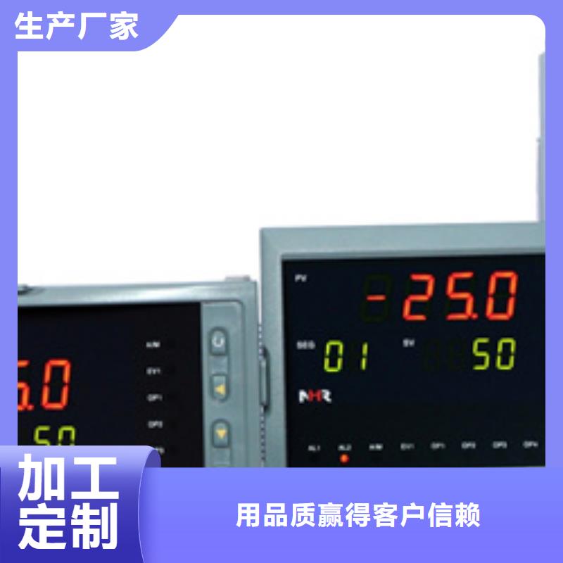 ZR202G-040-C-F-N-C-R-P-C-A品牌-报价_索正自动化仪表有限公司品质保障售后无忧