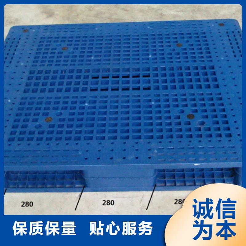 莲湖区防潮塑料垫板标准规格拒绝中间商