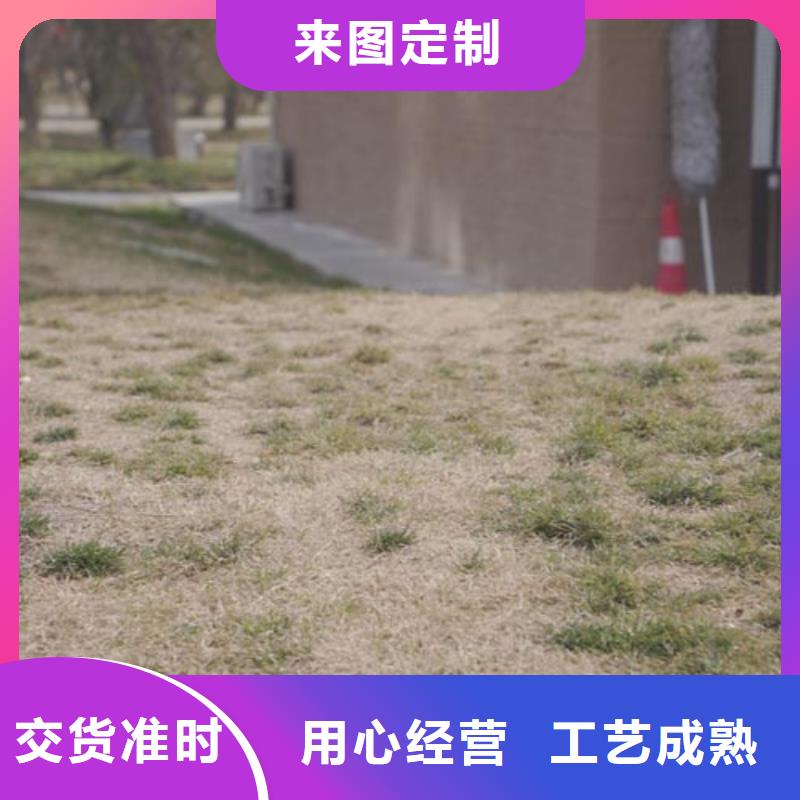 生态夯土漆10年经验真正的源头厂家