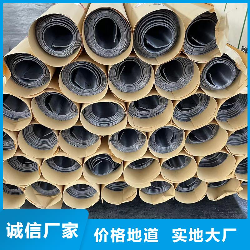 防护铅门靠谱厂家质量放心当地品牌