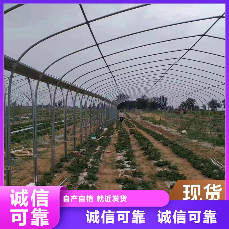 单县GP832镀锌大棚钢管生产基地同城经销商