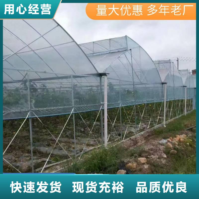 广东省深圳观湖街道葡萄大棚的材料实力厂家专业供货品质管控