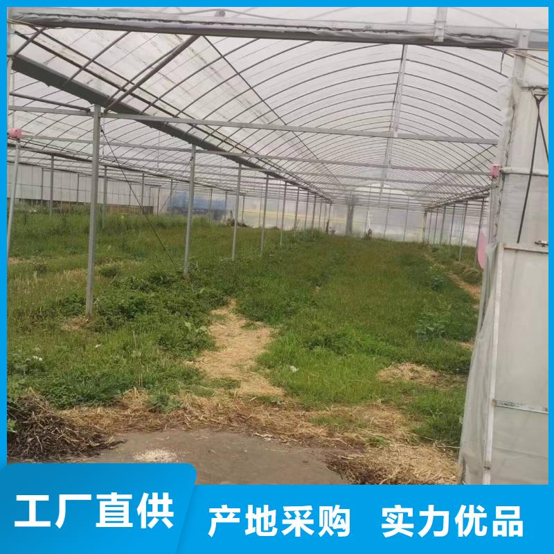 从江县进口利得绿白膜供应商支持货到付清