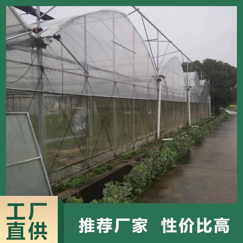 蓝莓温室大棚品质优金荣圣大棚同城公司