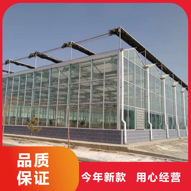 昌邑市大棚防风压条厂家报价当地厂家