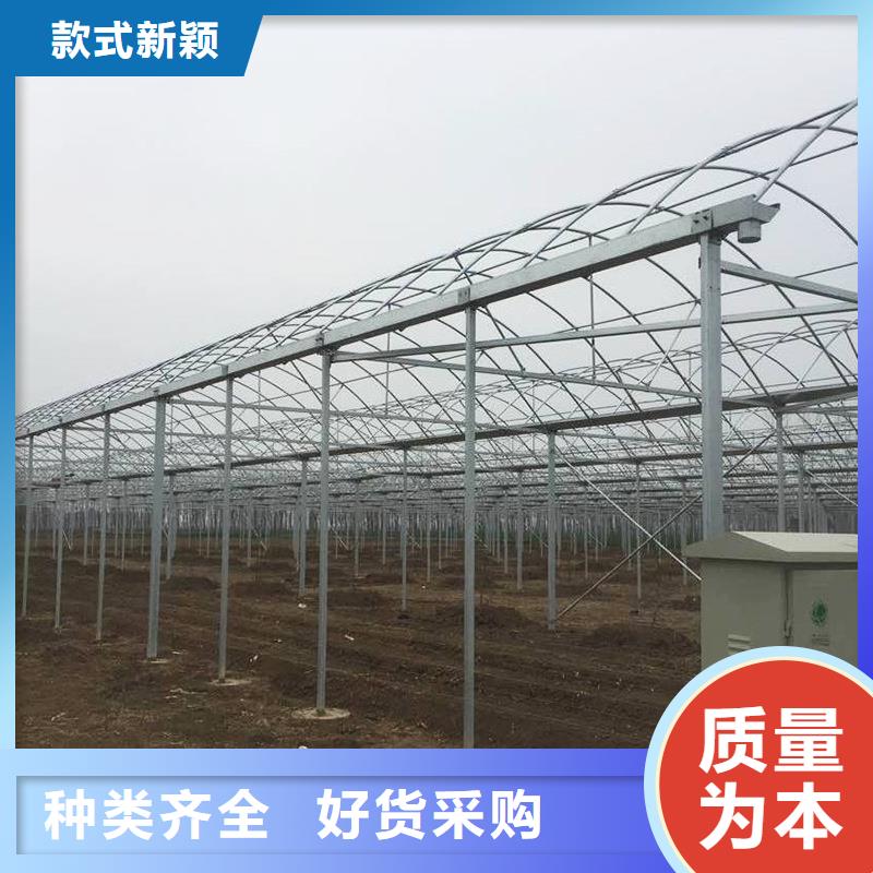 草莓大棚管靠谱厂家金荣圣大棚使用方法