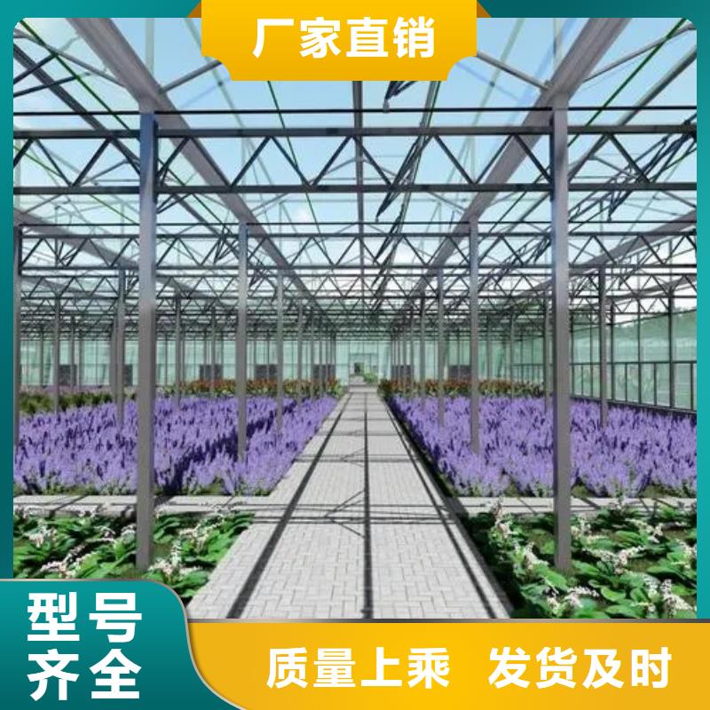 育苗连栋大棚本地厂家免费指导实拍展现