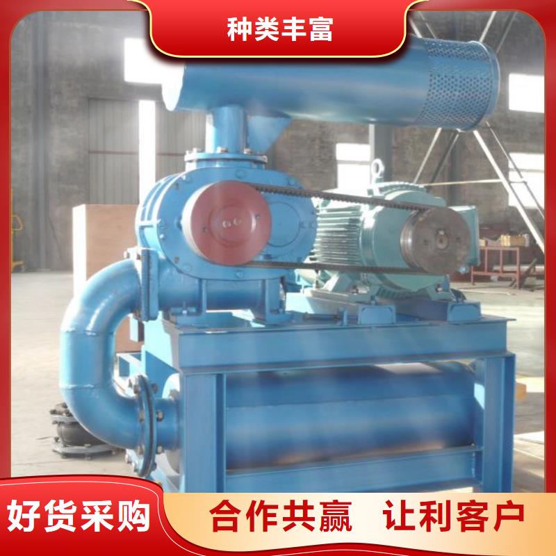 山东临风科技洗煤专用罗茨风机LFSR65当地厂家