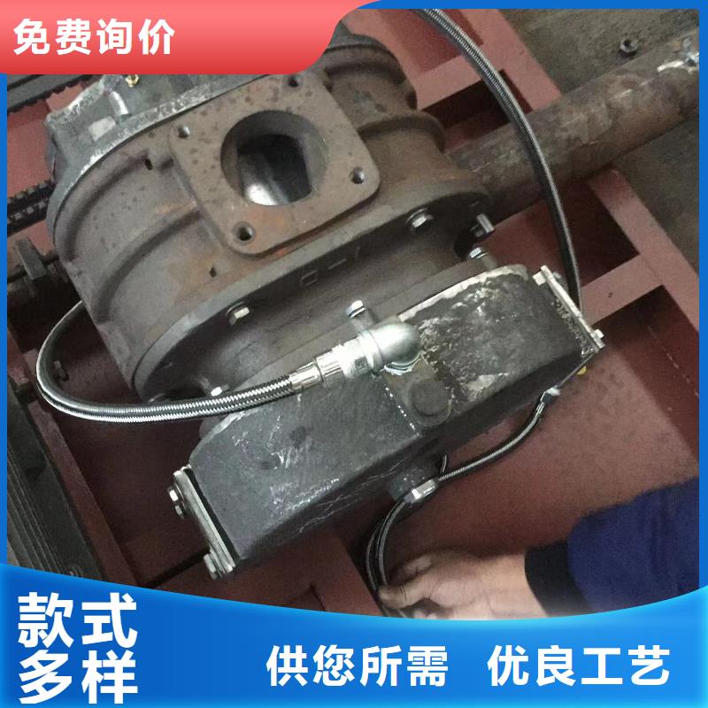 山东临风洗煤专用罗茨风机LFSR125高标准高品质