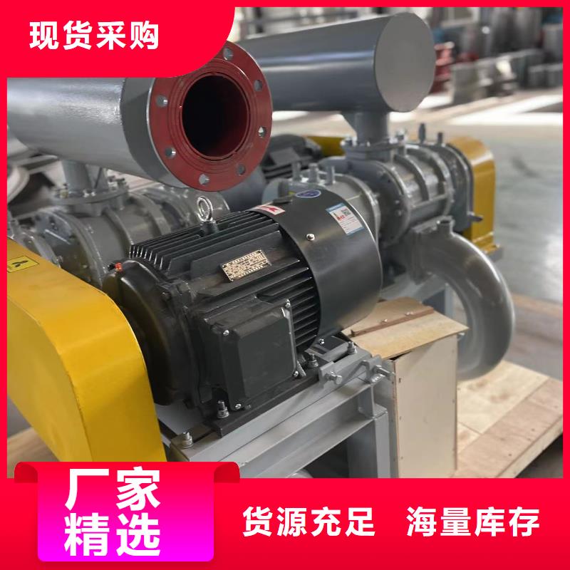 山东临风科技股份有限公司L系列罗茨风机LFSR300高标准高品质