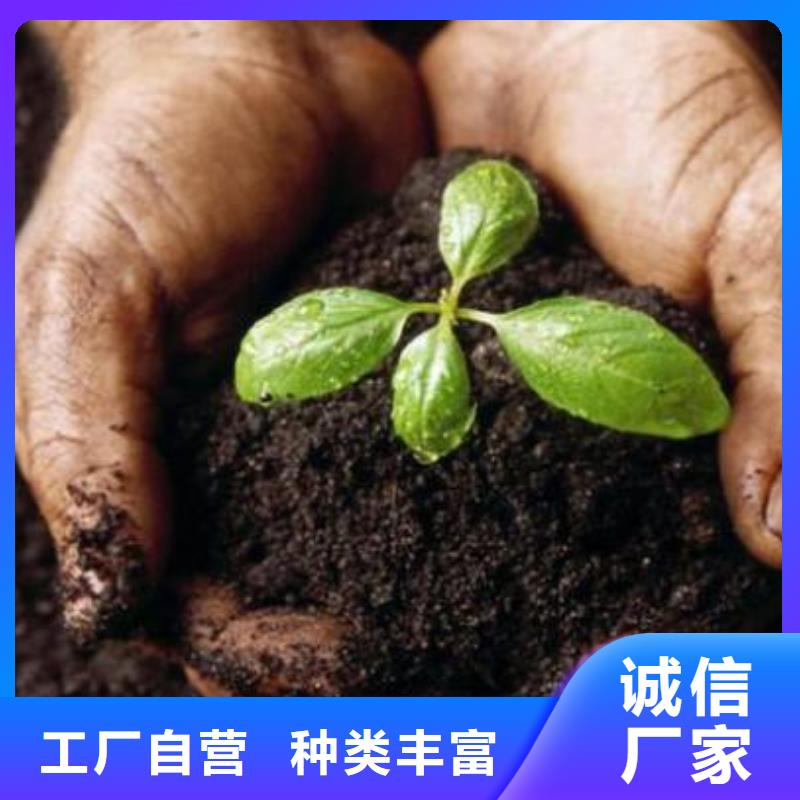 茌平东阿临沂发酵鸡粪座果率高厂家现货供应