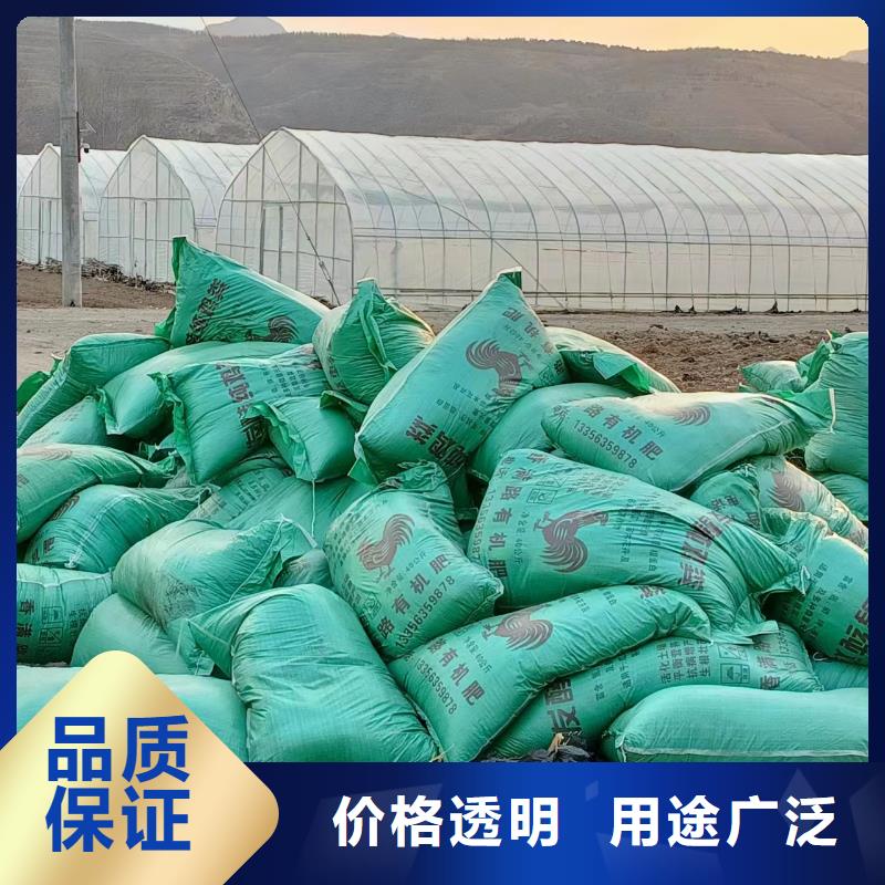 吉县芮城有机肥生态园土壤肥沃精工细作品质优良