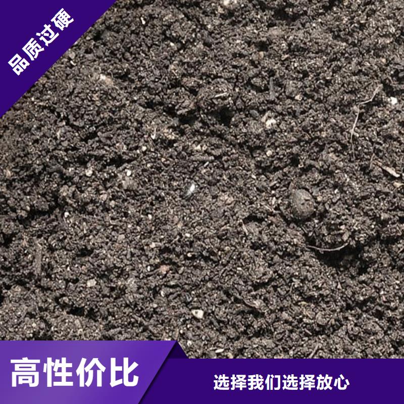 ​肥水鸡粪茄子产量客户好评