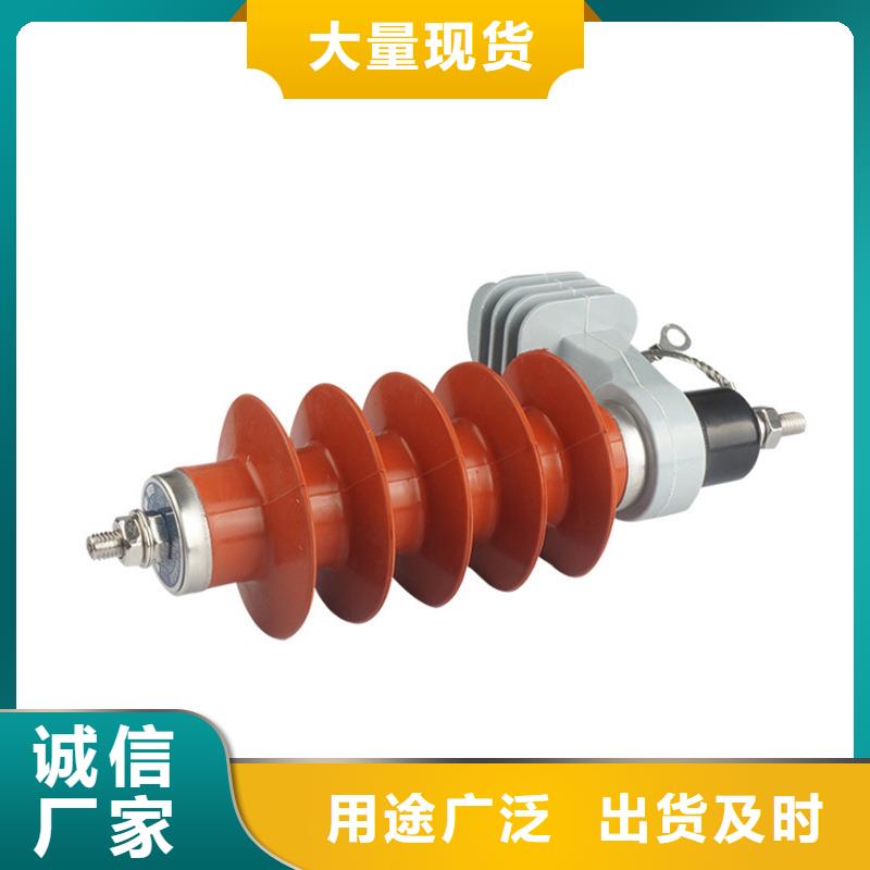 线路型避雷器HY5WS-17/50TLB经验丰富质量放心