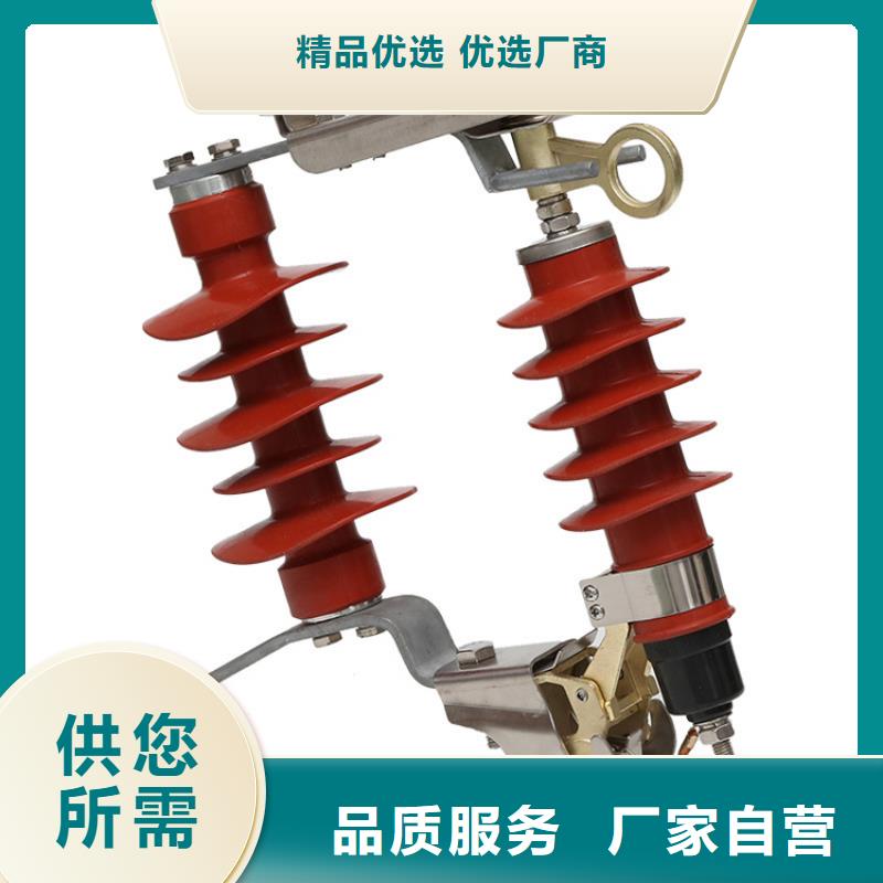 HY5WS2-10/30配电型避雷器本地品牌