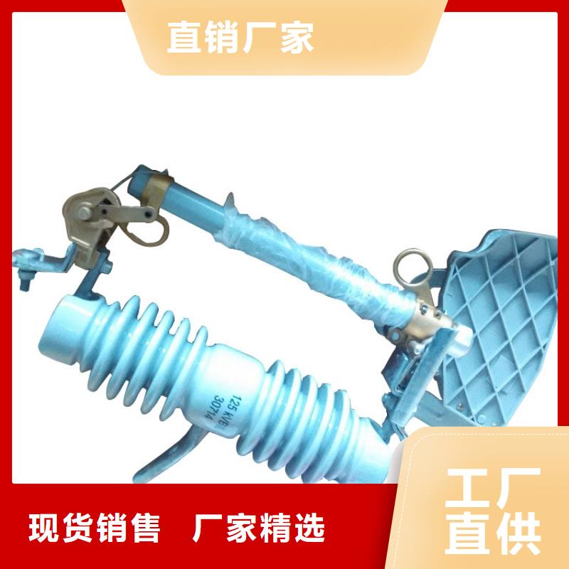 XS-11/100A高压熔断器质量本地公司