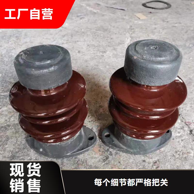 FXBW2-500/160硅胶绝缘子樊高服务周到