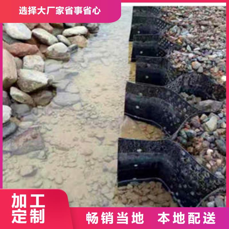 安阳土工格室固定哪个好-土工格室固定列表好货直供