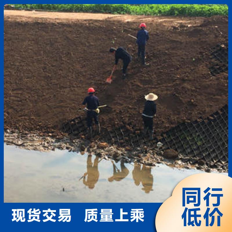 蜂巢格室(咨询)品质无所畏惧