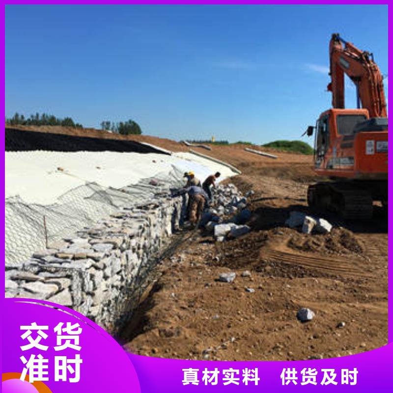 六边形蜂巢格室绿色抗老化260min品质过硬