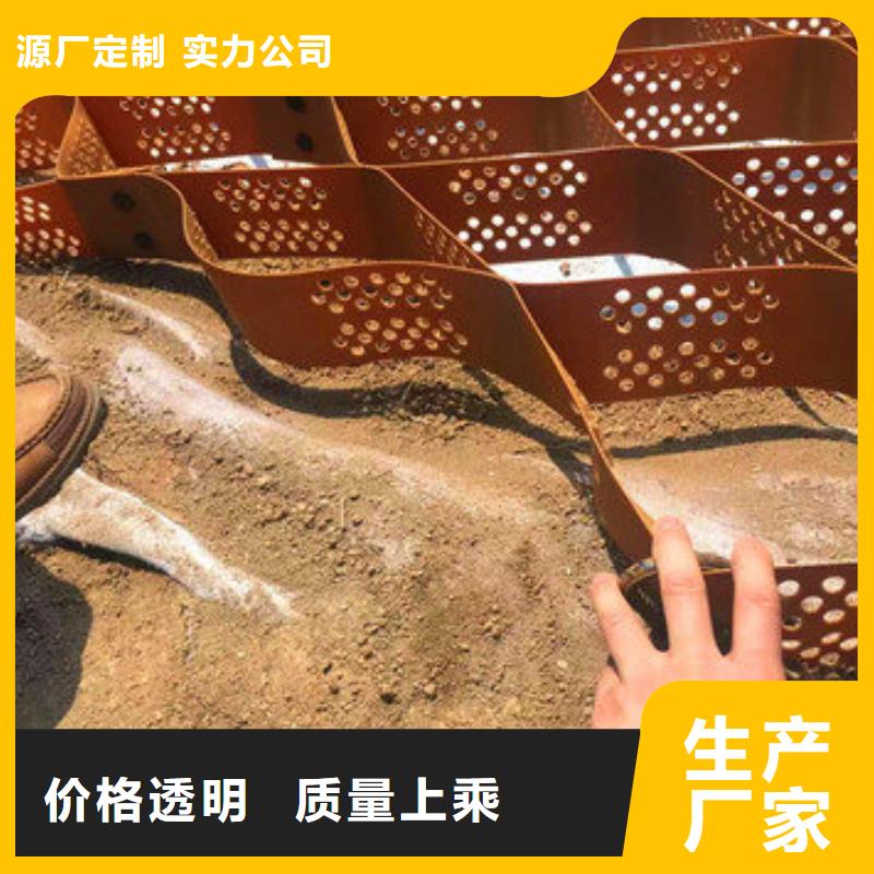 蜂巢格室施工生产厂家当地品牌