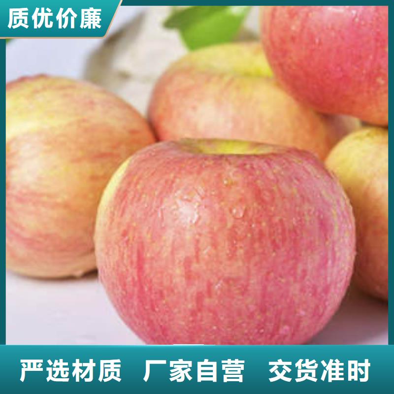 红富士苹果-嘎啦苹果精工细致打造放心购