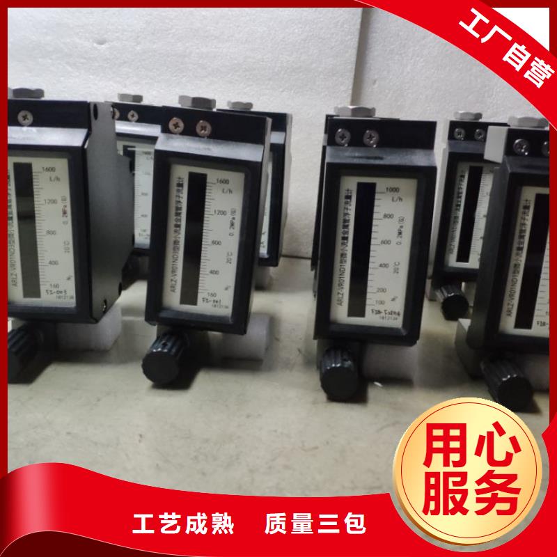 微小流量计吹扫装置现货供应现货