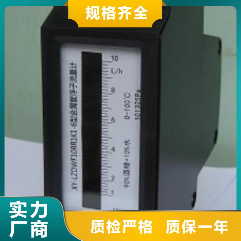 微小流量计吹扫装置专业生产N年货到付款