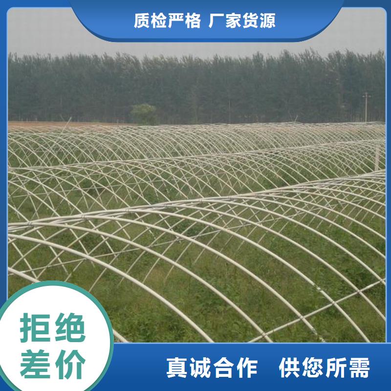 镀锌大棚管,【镀锌方管】厂家质量过硬细节严格凸显品质