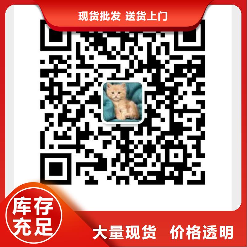 分集水器_【螺旋微泡除污器】优选好材铸造好品质本地经销商
