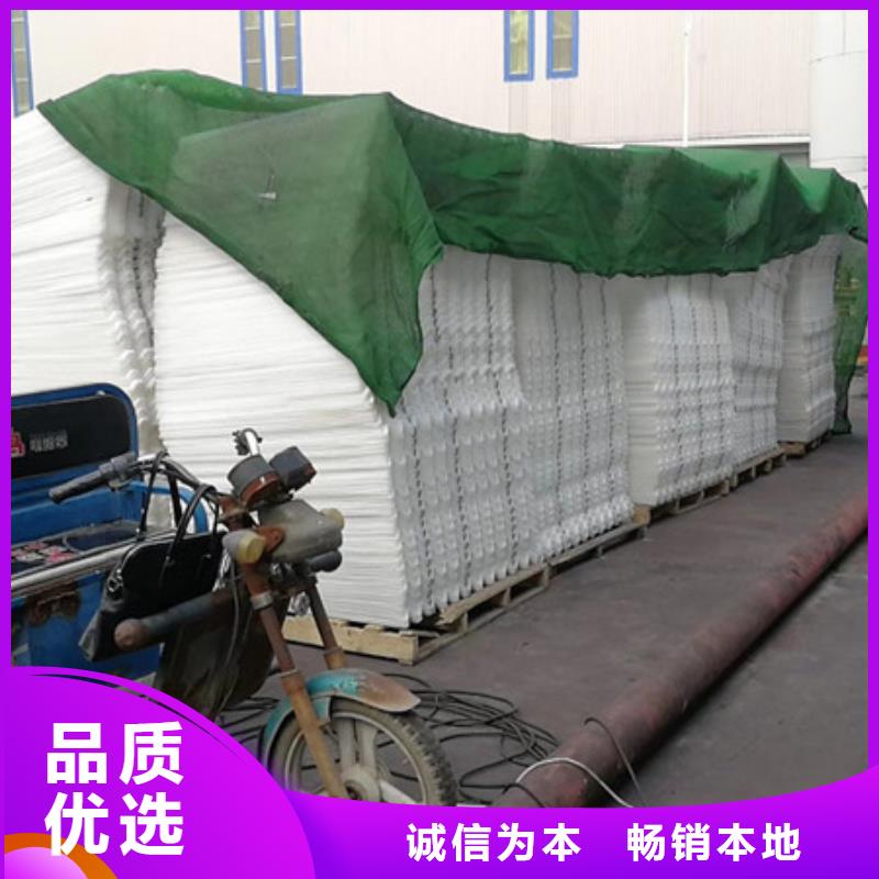 【蜂窝斜管-纤维球实拍展现】同城公司