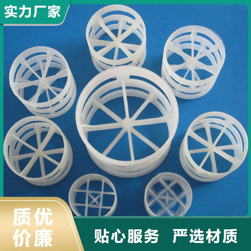 【鲍尔环】沸石高性价比同城供应商