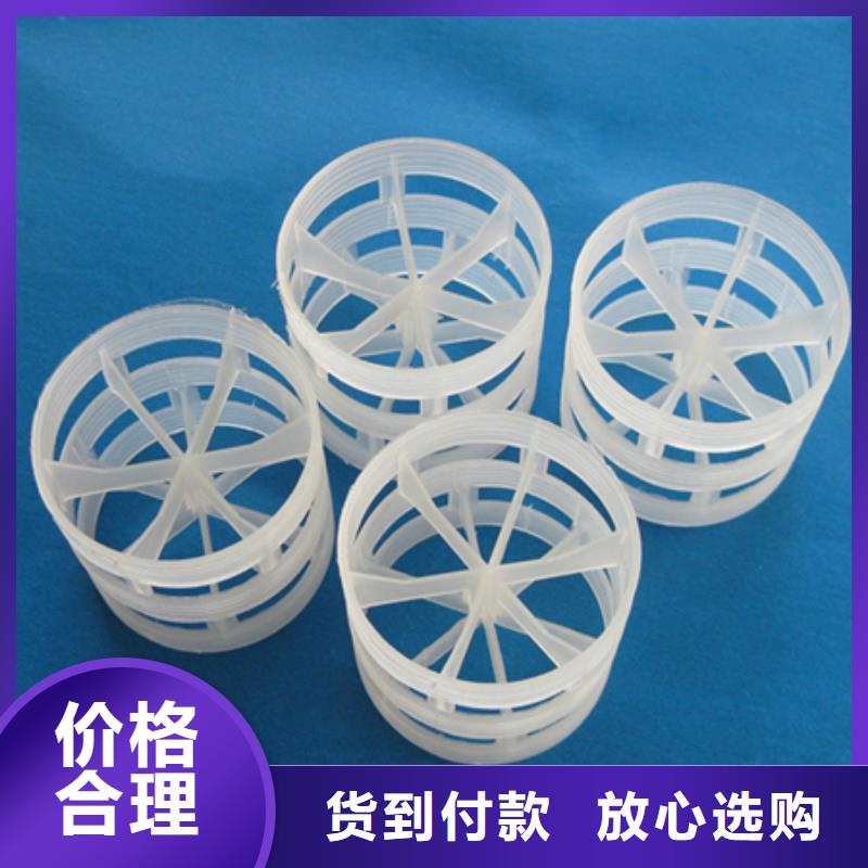 ​鲍尔环沸石有实力有经验实地大厂
