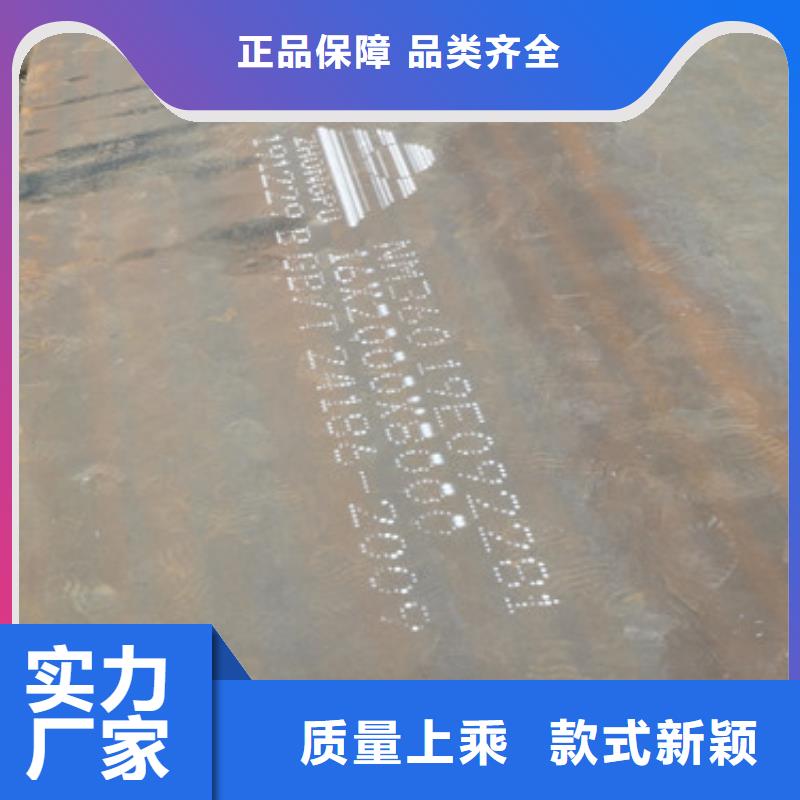 进口耐磨板哈道斯耐磨板货源足质量好本地生产厂家