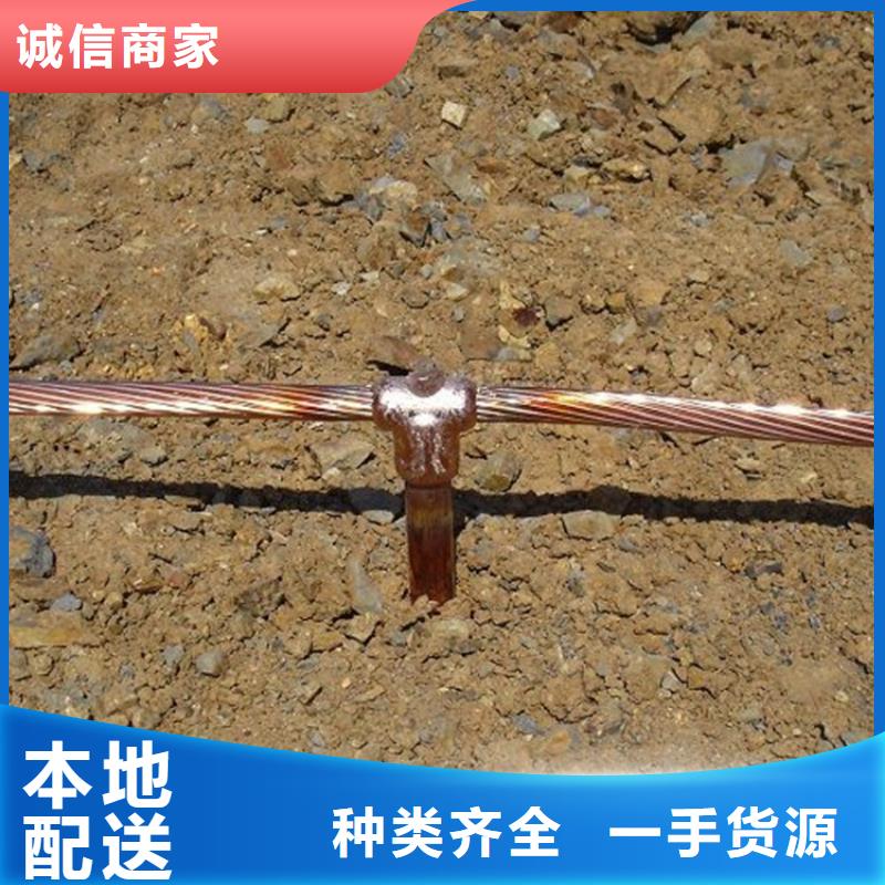 【铜绞线】-紫铜带精心打造本地制造商
