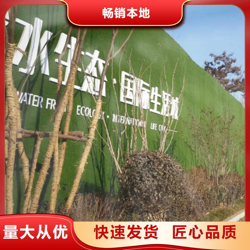围挡草坪,人造草坪围挡工艺成熟好产品有口碑