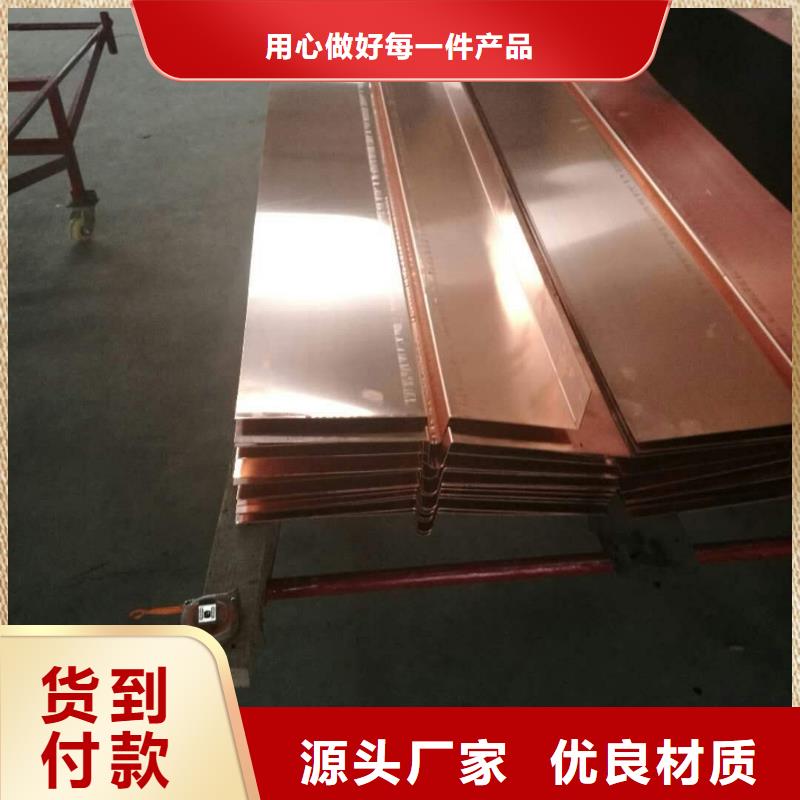 止水铜片中埋式橡胶止水带品质优选本地制造商
