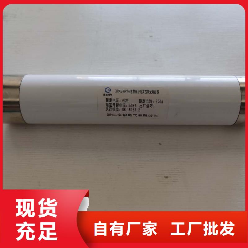 高压熔断器高压限流熔断器贴心服务厂家直销