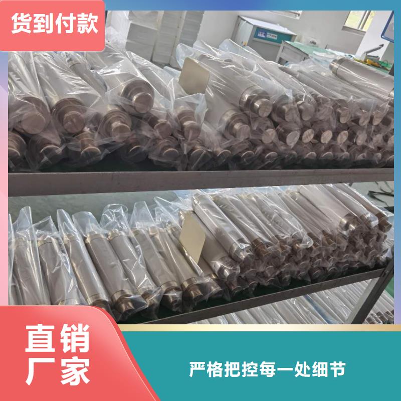变压器保护用高压限流熔断器XRNT1-10KV/160A型号齐全同城服务商