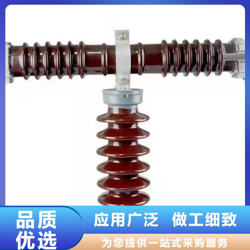 变压器保护用高压限流熔断器XRNT1-3.6KV/20A厂家厂家直销省心省钱