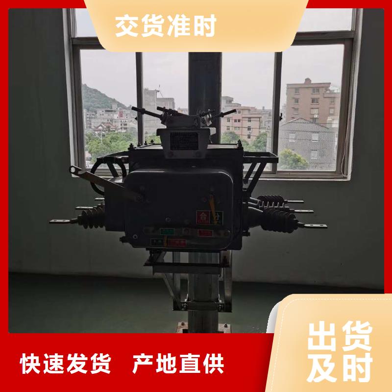 真空断路器BR-1双电源配电箱标准工艺品质优良