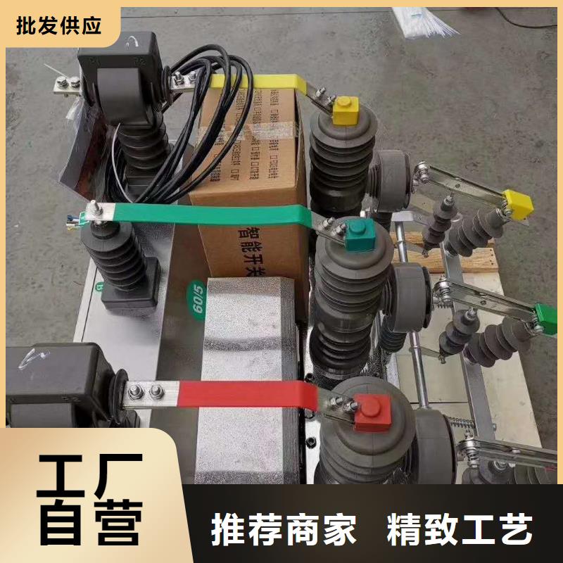 【真空断路器】高压限流熔断器供您所需同城厂家