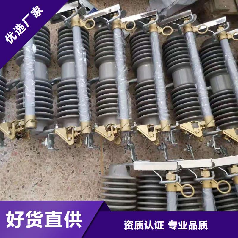 跌落式熔断器HY5WS-17/50避雷器支持定制加工价格有优势